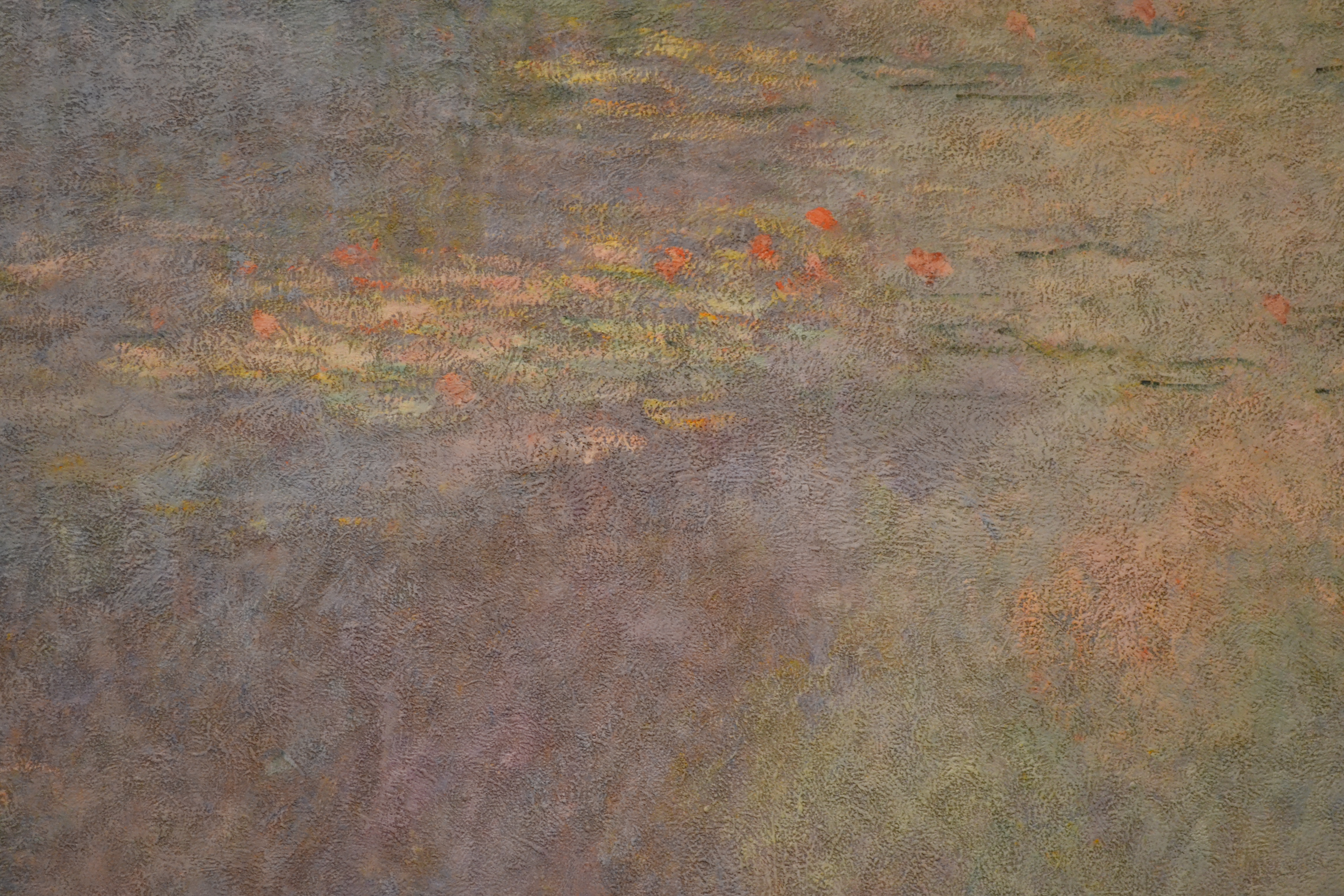 MoMA_Monet